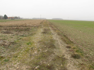 Borovci - Rimska cesta Poetovio-Savaria
