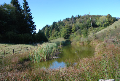 Gorski Vrh - Kal