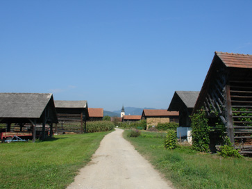 Šentjur na Polju - Kozolci spodnjega polja