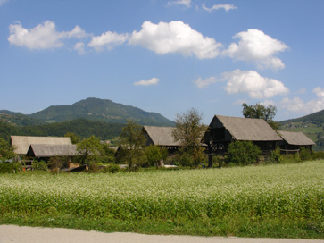Šmarčna - Kozolci na polju
