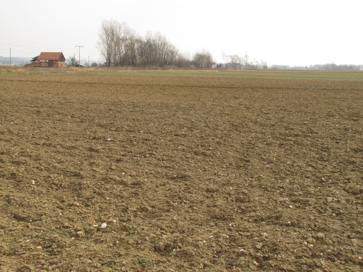 Gorišnica - Rimska cesta Poetovio-Savaria