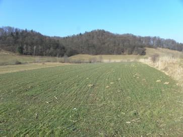 Podlehnik - Arheološko območje Murko