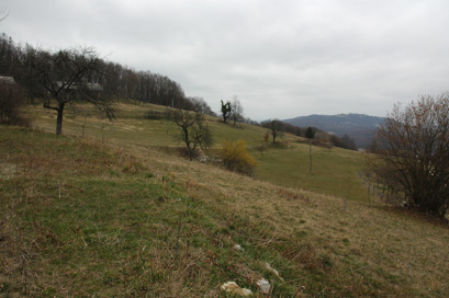 Žaloviče - Arheološko območje Čela