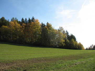 Velenje - Arheološko območje Turn