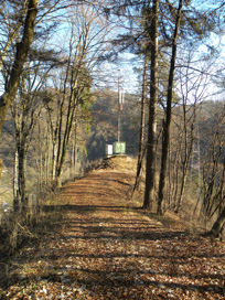 Sava - Železnodobno grobišče Vinarica