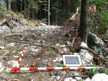 Podkraj - Zaporni zid Polšakovo kopišče