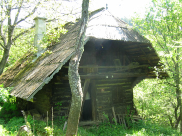 Jamnica - Hiša Jamnica 5