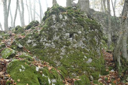Dolenje Selce - Grad Kozjak