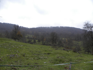 Podlesje - Opuščena kočevarska vas Verdreng