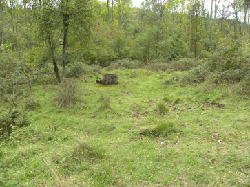 Trnovec - Opuščena kočevarska vas Trnovec