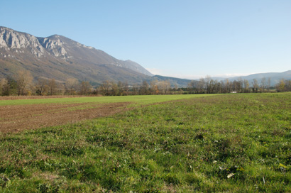 Podraga - Arheološko območje Pri Živicu