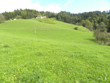 Zreče - Arheološko območje Pončkov graben