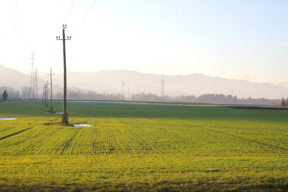 Kranj - Arheološko območje Pri vrtnariji