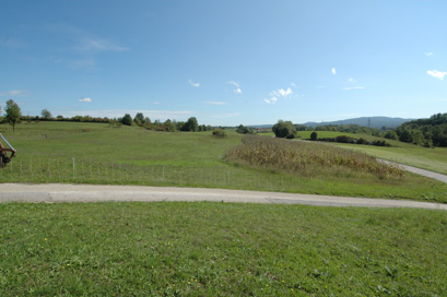 Metlika - Arheološko območje Bočka IV