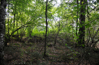 Lokve pri Črnomlju - Arheološko najdišče Vražji kamen
