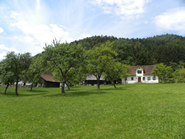 Primož pri Ljubnem - Šveglnova domačija