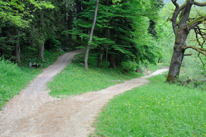 Dolenjske Toplice - Stari park