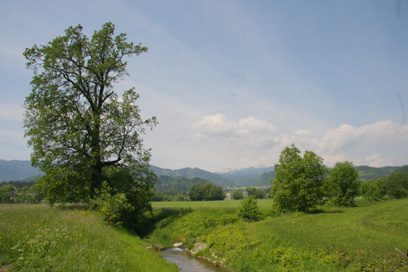 Bled - Arheološko območje Gmajna