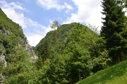 Dolenji Novaki - Arheološko najdišče Mali Njivč