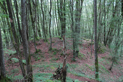 Lanšprež - Stari grad