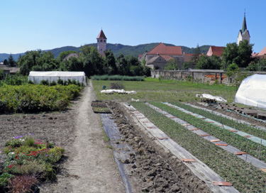 Brežice - Attemsov vrt