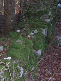 Logarska Dolina - Arheološko najdišče Žibovt