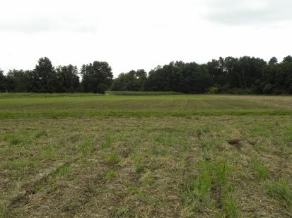Ptuj - Arheološko območje Turniški travniki
