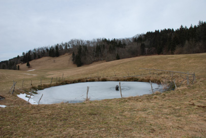 Ponikve na Šentviški planoti - Kal