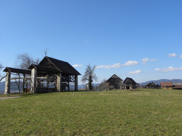 Blatna Brezovica - Skupina kozolcev južno od hiše Blatna Brezovica 89