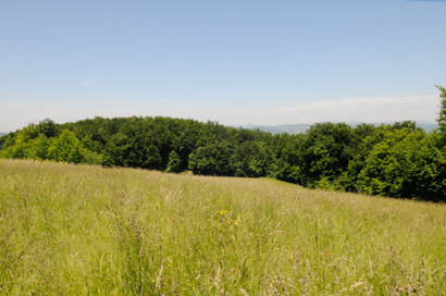 Orešje - Gomilno grobišče Laze