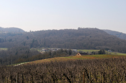 Grič pri Klevevžu - Gomilno grobišče Kostanovlje