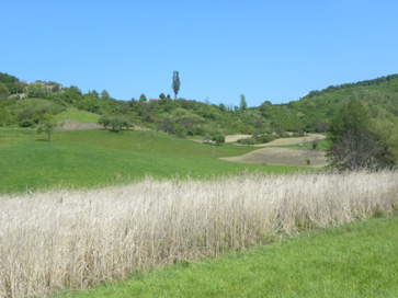 Štrihovec - Arheološko območje Štrihovec I