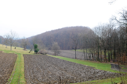 Dobruška vas - Arheološko najdišče Bukovec