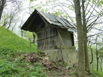 Kostanj - Vaška sušilnica za sadje