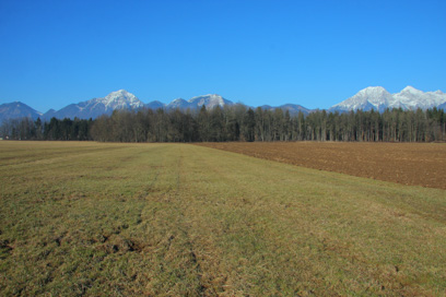 Šenčur - Arheološko območje Ilovca-zahod