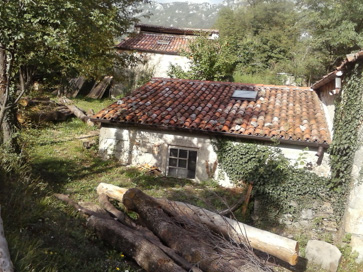 Lokavec - Bavčerjeva fužina