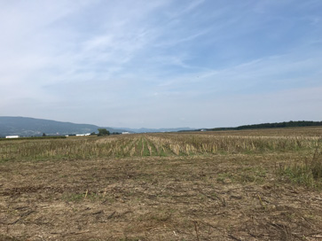 Hotinja vas - Arheloško najdišče Račka pristava