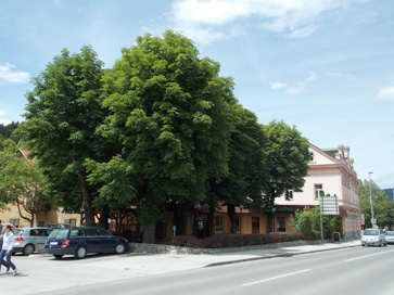 Šoštanj - Vrt rojstne hiše Karla Destovnika Kajuha