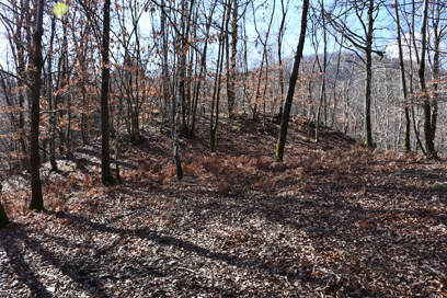 Sremič - Arheološko najdišče Slom