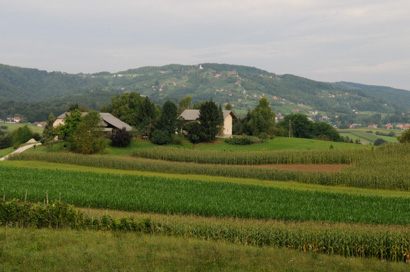 Strelac - Dvor Šuta