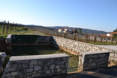 Dutovlje - Križmanova lokovca