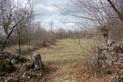 Pliskovica - Kamniti zid njive na Ogradah