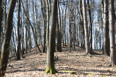 Novo mesto - Gomila v Smolovi hosti