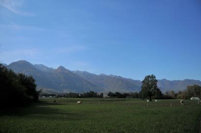 Bohinjska Bistrica - Arheološko območje Čez Belco