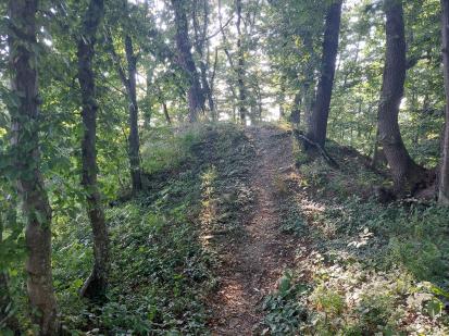 Gradiška - Grad Dobrenj