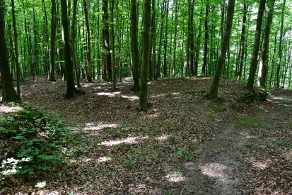 Placar - Gomilno grobišče Ob Rogoznici
