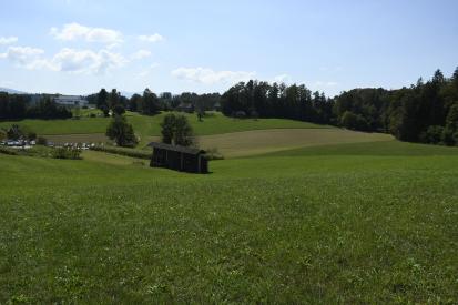 Novo mesto - Arheološko območje Ločna