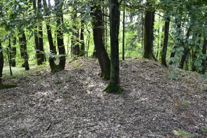 Hrušica na Dolenjskem - Gomilno grobišče Pristave