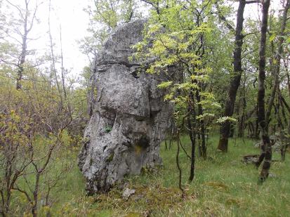 Sežana - Mejni kamen med katastrskimi občinami Lokev, Bazovica in Sežana