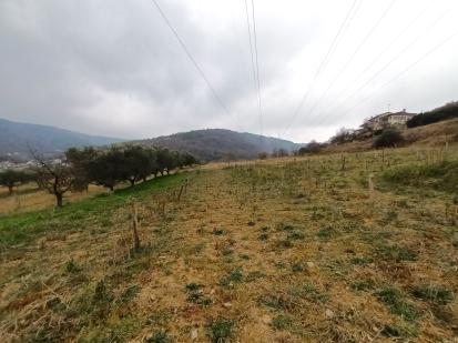 Šalara - Arheološko območje Stara Šalara